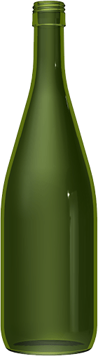 Empty wine bottle EUROPA 1 L BVP