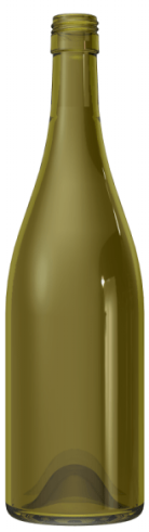 Empty wine bottle BG AUSTRAL 75 CL BVS