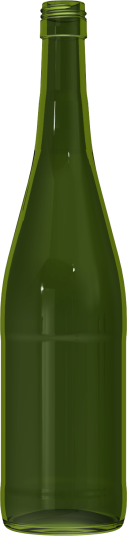 Empty wine bottle RHIN ART 75 CL BVS