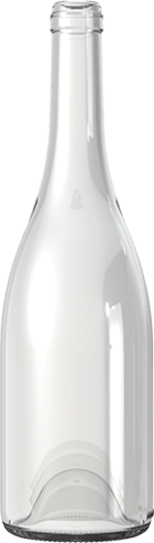 Empty wine bottle BG REGAIN 75 CL