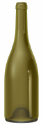 Empty wine bottle BG REGAIN 75 CL