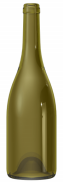 Empty wine bottle BG REGAIN 75 CL