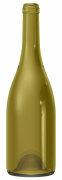 Empty wine bottle BG REGAIN 75 CL