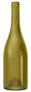 Empty wine bottle BG REGAIN 75 CL